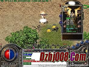 ��ְҵ����˽��©��