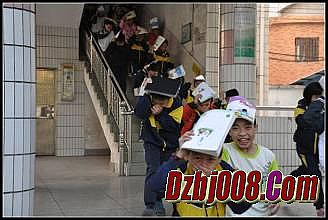 ���������̬������