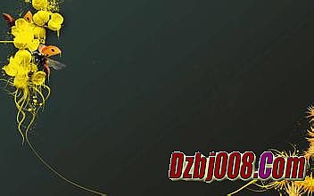 �ֻ��б���װ����