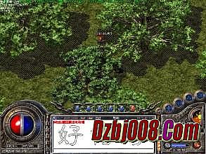 �����ֻ����ι���