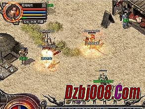 ��Ѫ���渱��