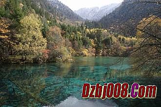 ��ͨ����3g˽��������